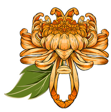 菊花