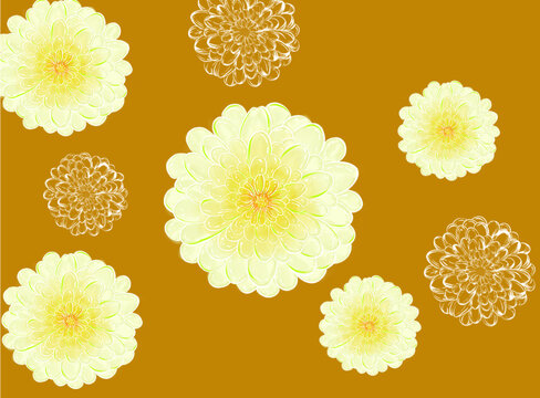 菊花