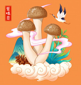 蟹味菇插畫手繪