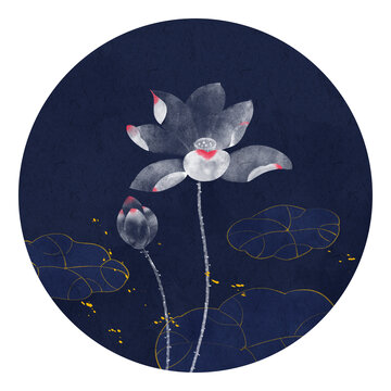 荷花