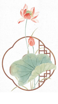 唯美荷花
