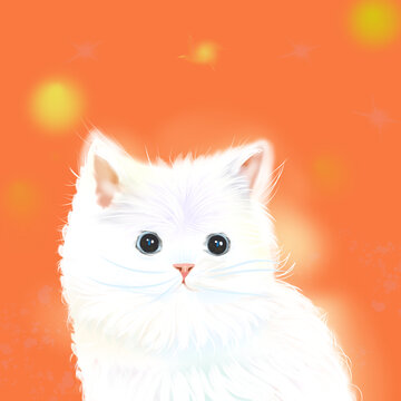 小貓咪
