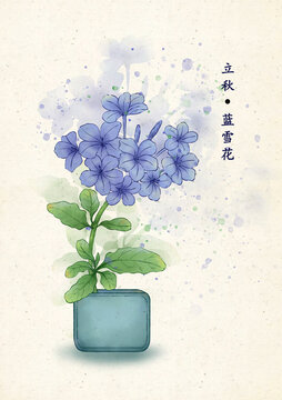 二十四節(jié)氣立秋藍(lán)雪花