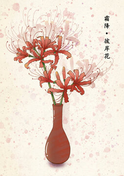 二十四節(jié)氣霜降彼岸花