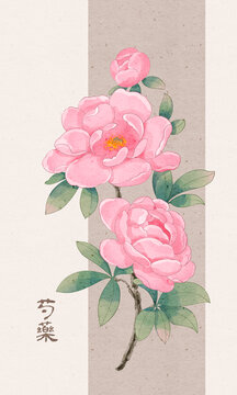 芍藥