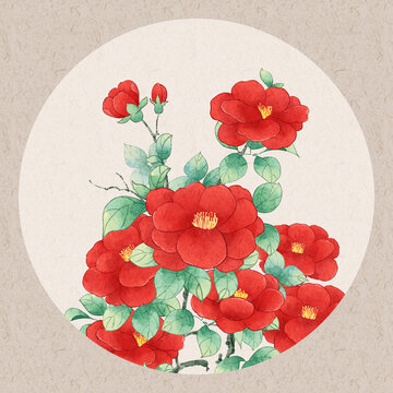 山茶花