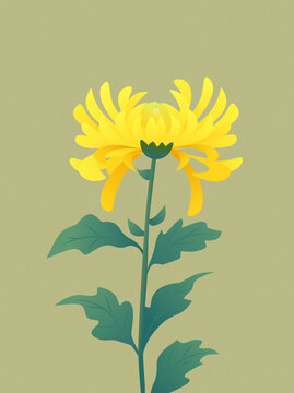 手繪菊花插畫(huà)