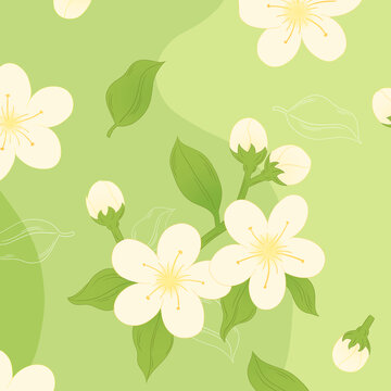 茉莉花茶包裝插畫
