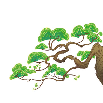 國(guó)風(fēng)松樹(shù)