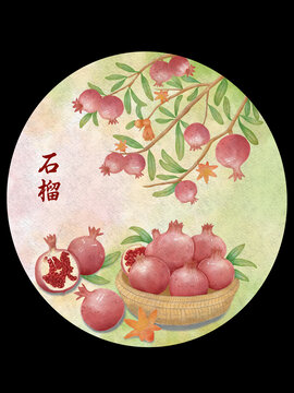 水彩石榴插畫
