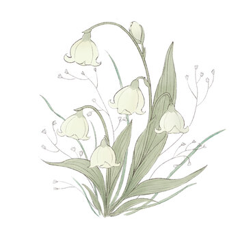 鈴蘭花