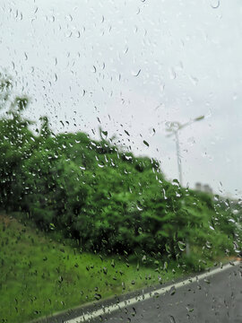 雨