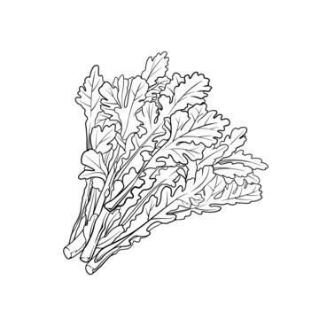 茼蒿