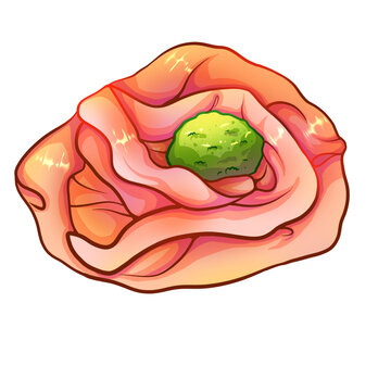 鴨腸