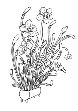 水仙花線稿