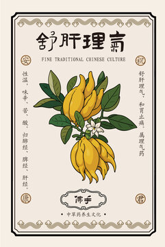 手繪佛手中醫(yī)藥文化