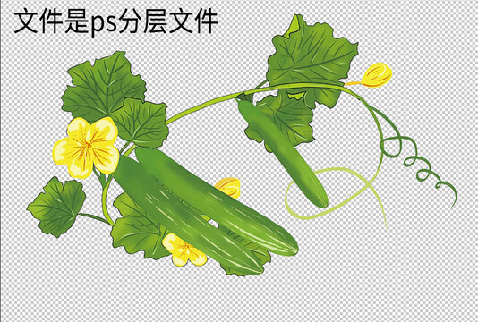水果黃瓜