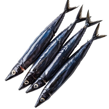 [免摳素材]四條新鮮的鯖魚(yú)在白色背景上