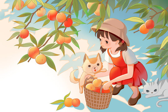 水蜜桃包裝