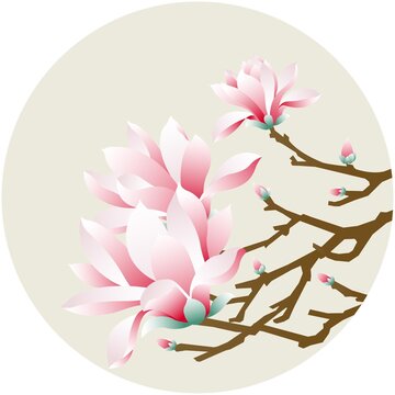 木棉花插畫
