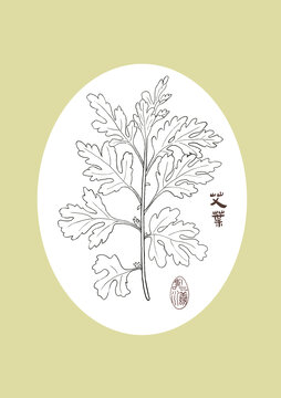 艾葉