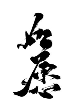 國(guó)潮書(shū)法創(chuàng)意書(shū)法毛筆字如愿