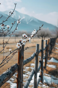 山間木柵欄旁的白色花朵