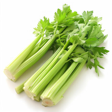 新鮮芹菜莖