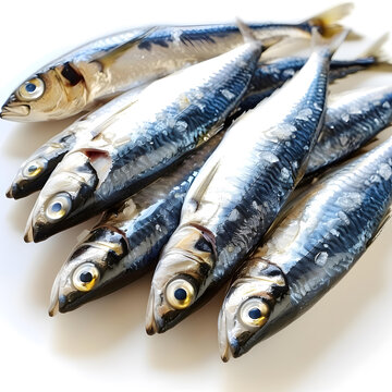 一堆新鮮鯖魚