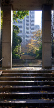 通往城市的天橋