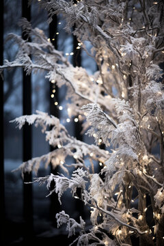 一棵覆蓋著白雪和燈光樹