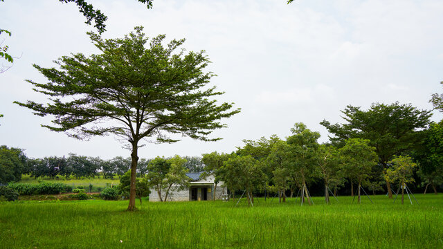 深圳市光明逕口社區(qū)公園一角