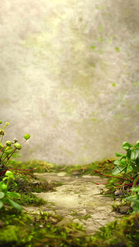森林綠苔小路自然背景
