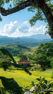 油菜花田與遠(yuǎn)山