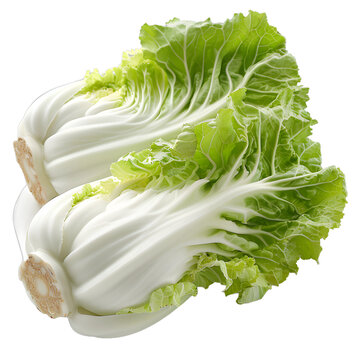 [免摳素材]兩顆大白菜