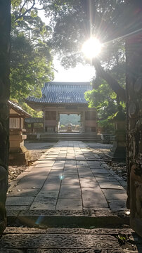陽光照耀下的日本寺廟