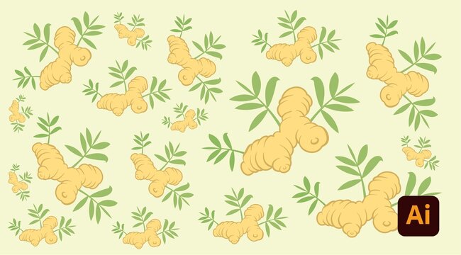 生姜插畫