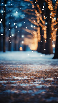 冬夜公園雪景與燈光