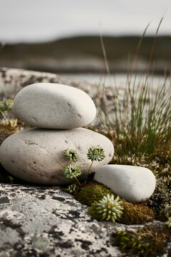 青苔石頭堆疊背景圖