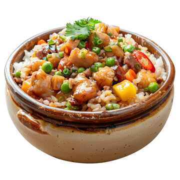 [免摳素材]美味雞肉飯