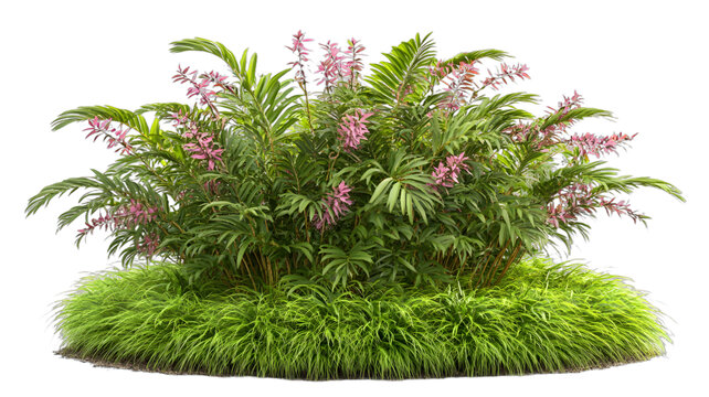 [免摳素材]熱帶植物粉色花朵和綠草