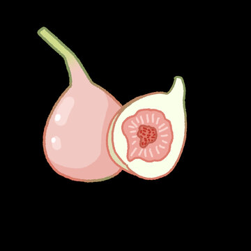 無花果