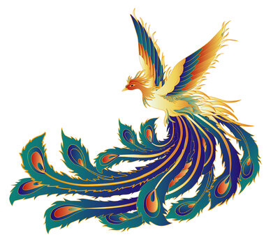 鳳凰插畫(huà)