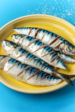 鯖魚的AI圖片