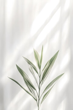 簡(jiǎn)約綠葉背景圖