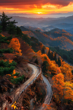 秋日山林公路