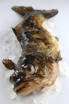 冰鮮魚的AI圖片