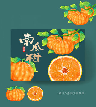 南瓜柑包裝插畫
