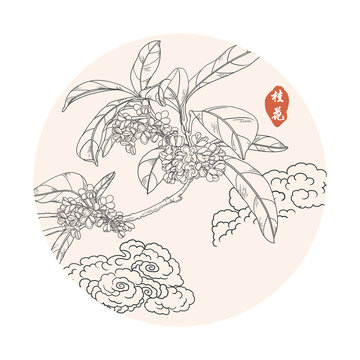 桂花祥云插畫