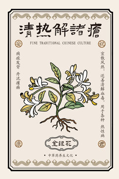 手繪中草藥金銀花包裝標(biāo)簽